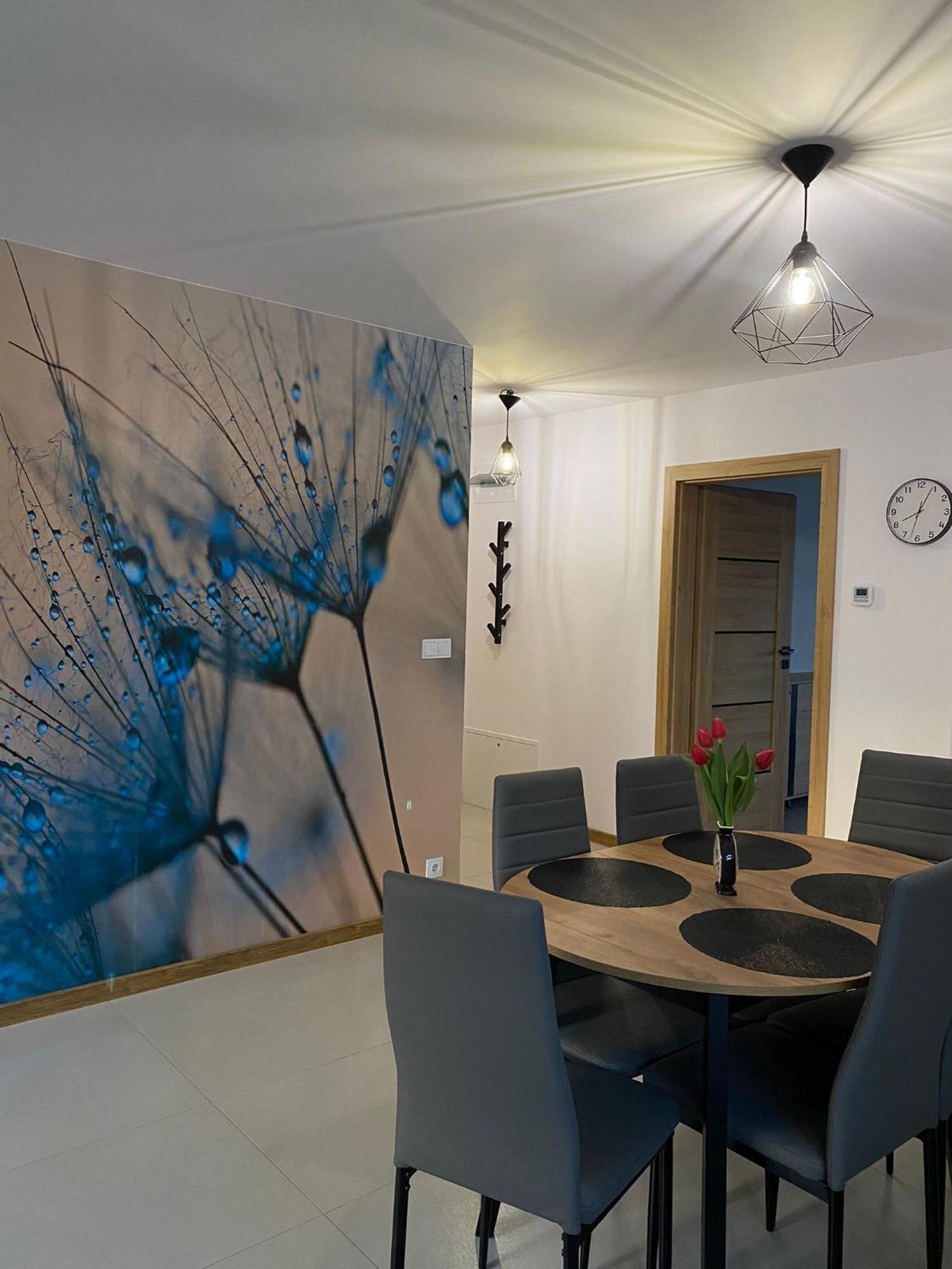 Wczasy Turkusowy Apartment *